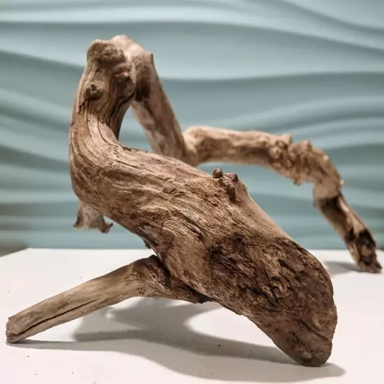 Natural Driftwood Root, Taxidermy, Aquarium, Terrarium, Art/Crafts, Decor