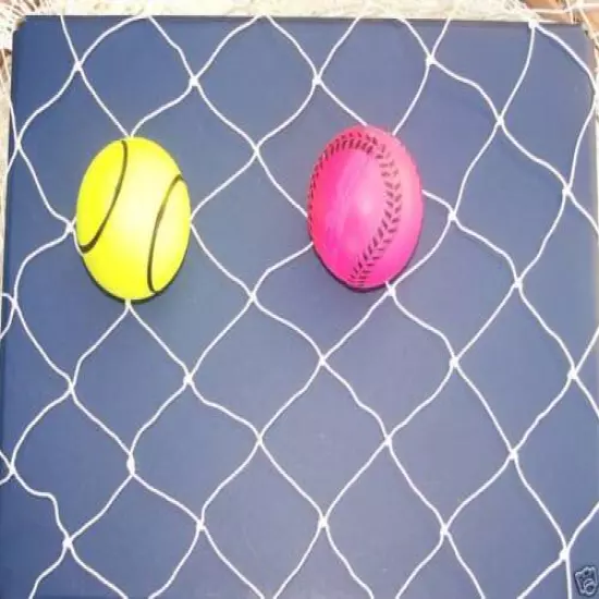 10' x 10' Baseball Softball Nylon Netting 1 3/4" Mesh #15-Nylon 160 lbs Test 