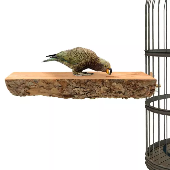 3 Pack Apple Wood Bird Perch for Cage, Natural Wooden Parrot Perch Stand Plat...