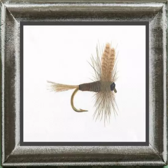 Fishing Quill Gordon Dry Fly Print Fisherman's Gift, unique fly fishing art gift