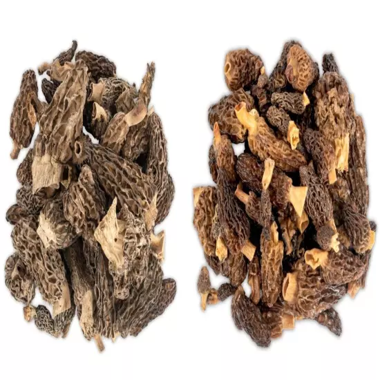 Dried Morel Mushrooms, Wild Morchellas