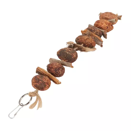 Nuts Parrot Toy Relieve Boredom Hanging Bird Bark Chewing String Toy For Pets