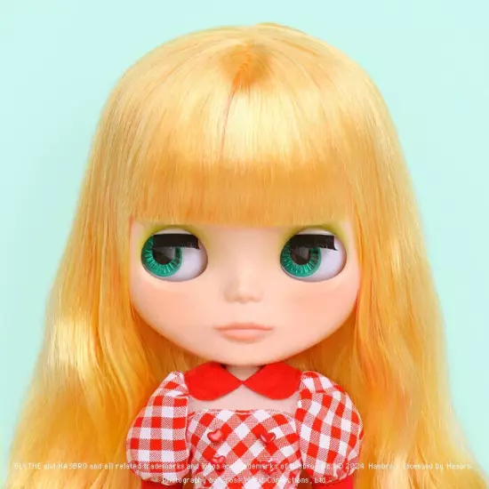 NEW CWC Neo Blythe Donna Doughnut Hasbro 300mm Fashion Doll Japan