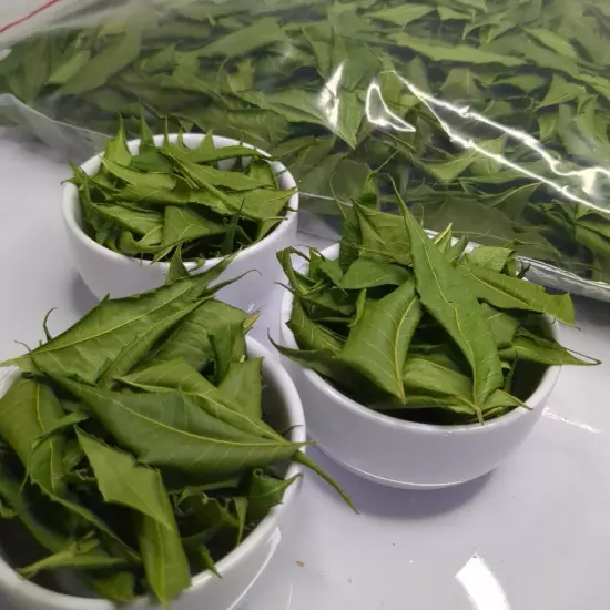 Freshly Picked Dried NEEM LEAVES Ceylon Herbal Pure Organic Premium Quality Herb