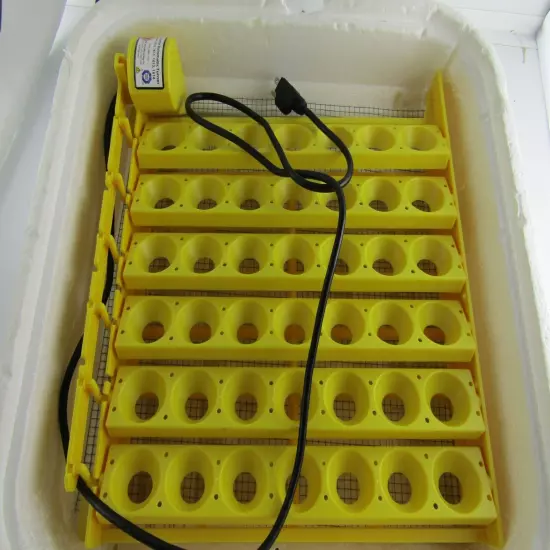 GQF HovaBator Egg Incubator 1602N with Automatic Turner Chicken Quail Duck