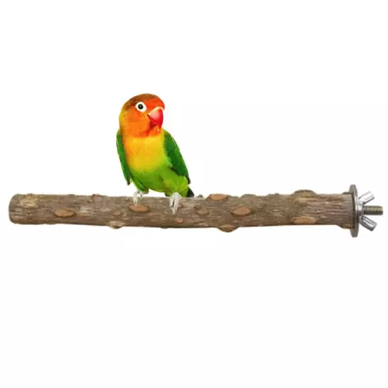 Bird Parrot Chew Bite Toys Claw Grinding Prickly Wood Play Stand Platform Cage