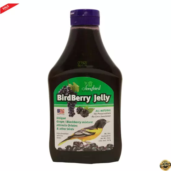 Essentials Bird Berry Jelly, 20 Oz: Perfect for Attracting Birds