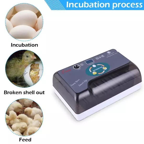 12 Eggs Auto Incubator Digital Poultry Hatcher Auto Turning LED Lamp Pet Home