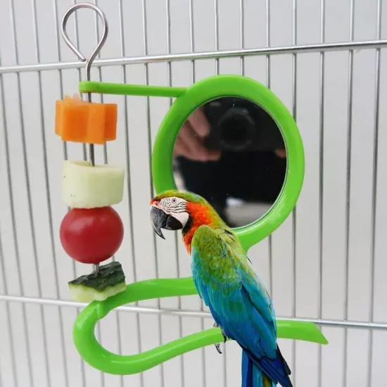 Bird Stand Toy Parrot Feeder Fruit Holder for Cockatiels Cage Accessories