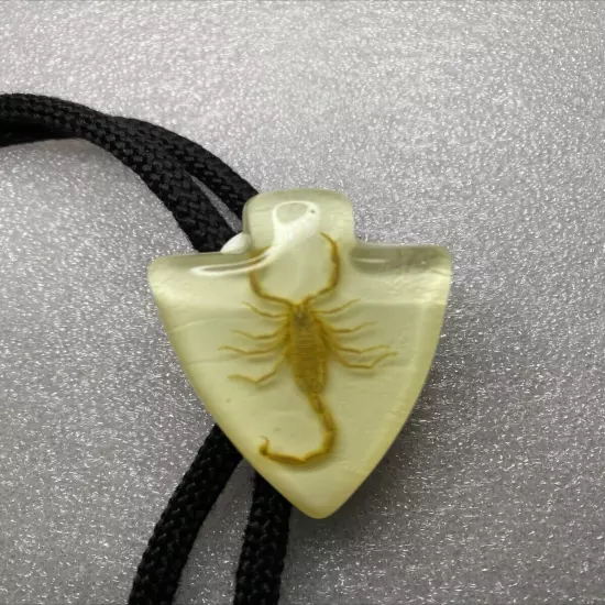 Vintage Real Scorpion Bolo Tie- Lucite- Arrowhead Shaped Nice Condition