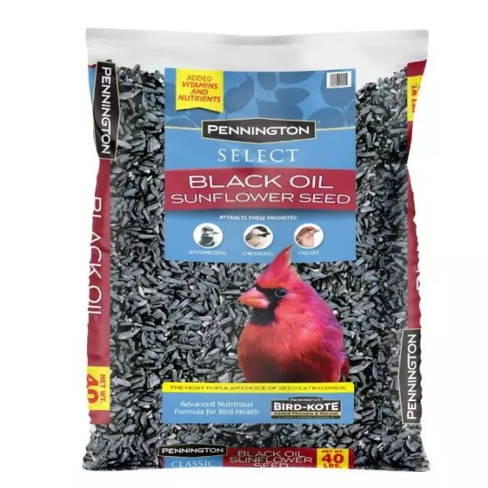 Pennington Select Black Oil Sunflower Seed Dry Wild Bird Feed, 40 lb. Bag,1 Pack