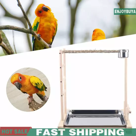 49*37*59cm Wood Bird Stand Large Parrot Perch Playstand w/Steel Tray 2*Bowl USA