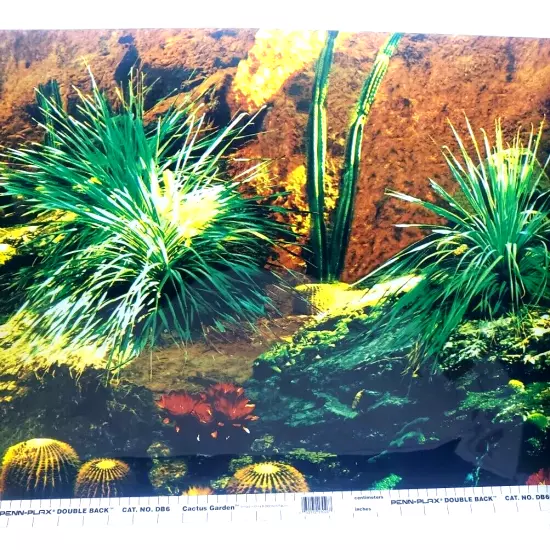 Penn Plax Cactus Garden / Rainforest 18” x 25’ DB6 Aquarium Background NEW