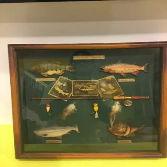 Vintage American Angling Fishing Shadow Box,home Cabin Or Den Decor