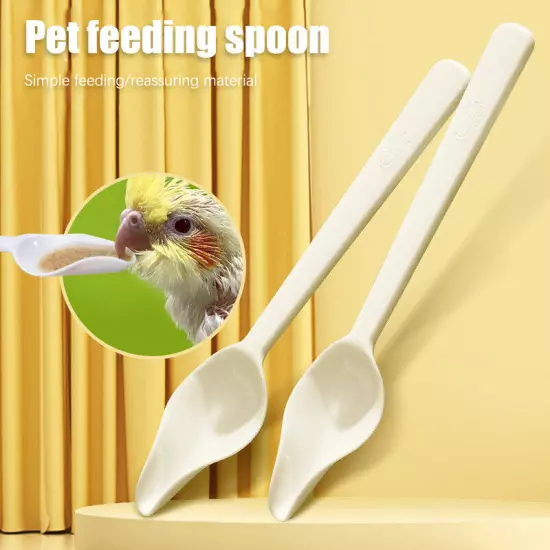 Small Bird Feeder Spoon Food Grade Thickened For Baby Bird Feeding Supplies