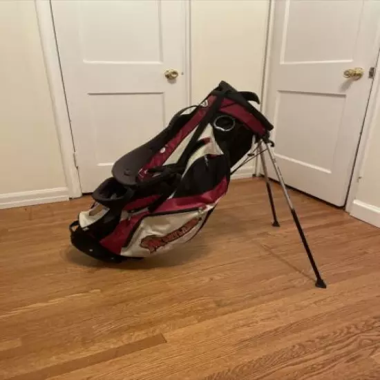 reserved for bigdogcl Golf Bag