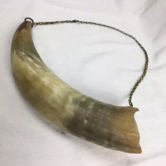 Vintage Large Open Hollow Empty Bull Powder Horn on Chain 