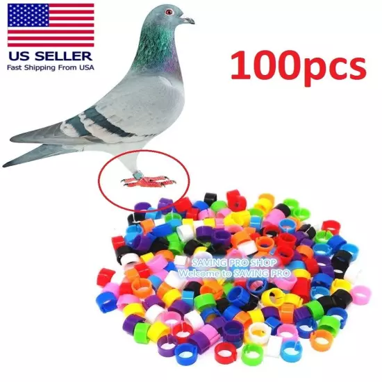 100pcs Bird Rings Leg Bands for Pigeon Parrot Hatch Poultry Rings