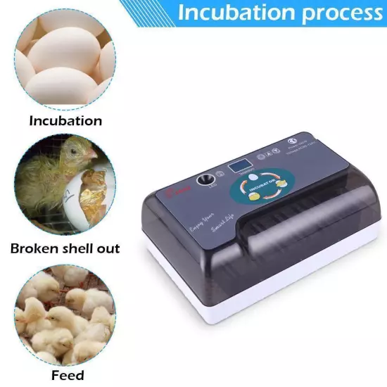 12 Eggs Fully Automatic Temperature Incubator Digital Poultry Chicken Duck Lamp