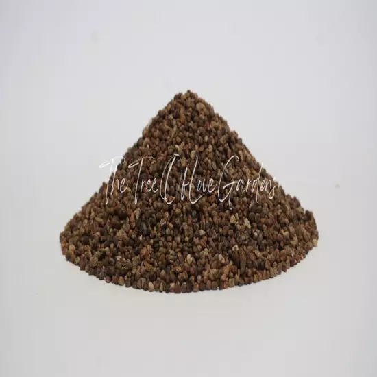 Cardamom Seeds | Elettaria cardamomum | Whole Cardamom Seed | Hulled Seeds