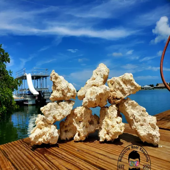 Premium ARK Dry Reef Rock Aragonite Base, Porous Aquariums Live FREE SHIPPING!!!