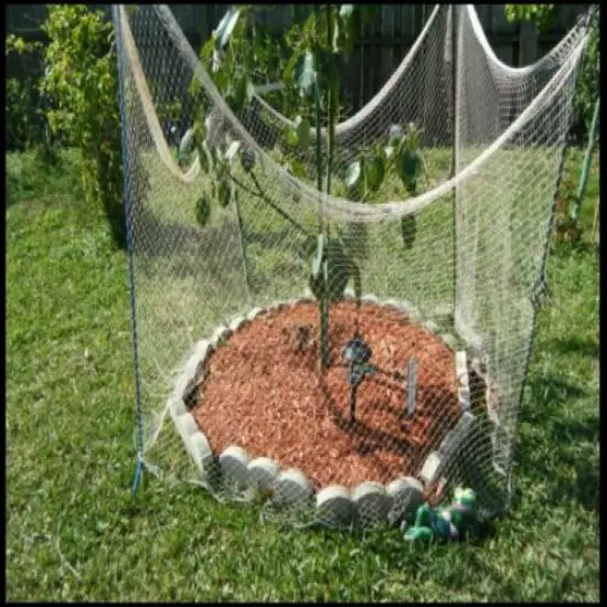 Authentic Commercial Fishing Net Avocado and Fruit Tree Protection 30' x 8' 