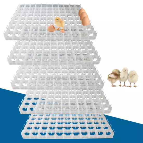 5-Eggs Turning Tray Egg Incubator Egg Turner Tray for Automatic Breeding Machine