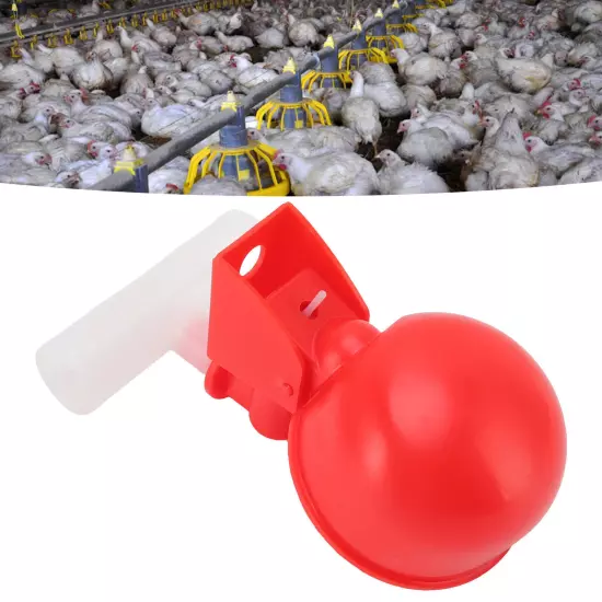 10 Set Chicken Waterer Cups Automatic Filling Prevent Leakage Pigeon Drinking Bo