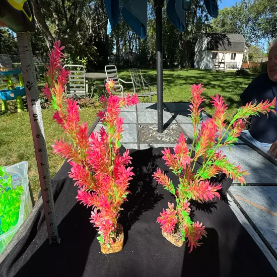 Beautiful GloFish Aquarium Plants