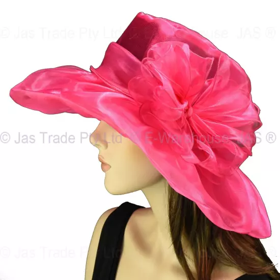 Spring Race Carnival Derby Day Church Wedding Women Ladies Organza Evening Hat