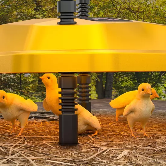 Coop Chick Brooder Heating Plate Brooder Heat Plate Warms Up to 15 Chicks - B...