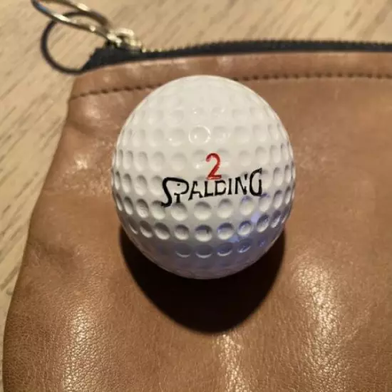 Vintage NESTLE GOLF IS HELL Logo Advertisement Ball Collectors Spalding Masters