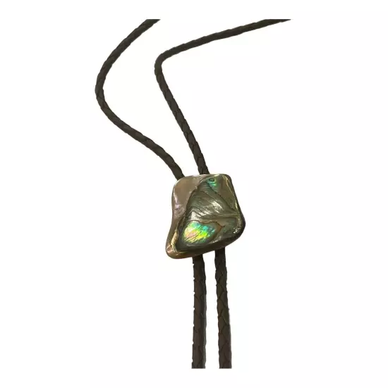 Bolo Tie large Colorful Polished Rock Stone With Metal Bullet Tips