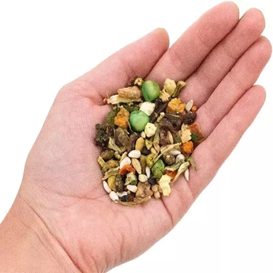 All Natural Garden Blend Bird Food for Conures - Sunflower Free 2lb