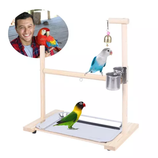 Bird Parrot Playground Bird Training Wood Stand Playpen Parrot Stand With Feeder