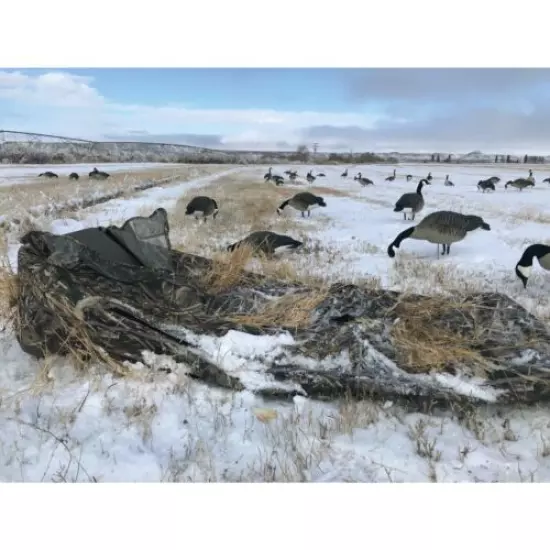 Layout Waterfowl hunting Blind camo duck geese 