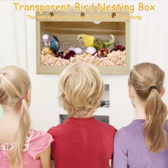 Natural Wood Parakeet Nesting Box Budgie Breeding Box Acrylic Bird Nest for C...