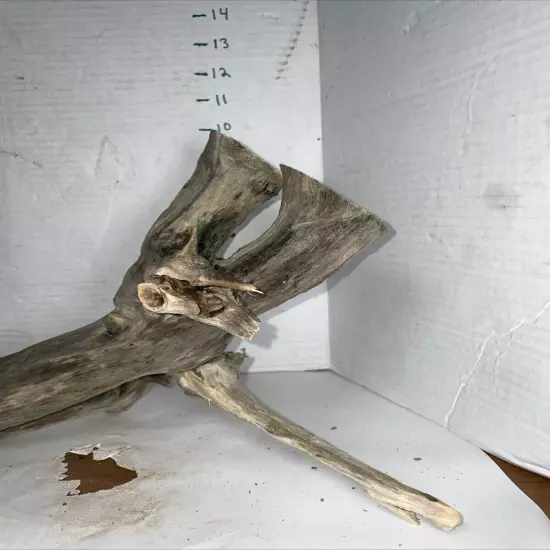 Driftwood Taxidermy Beach Lake Mountain House Wedding Reception Centerpiece