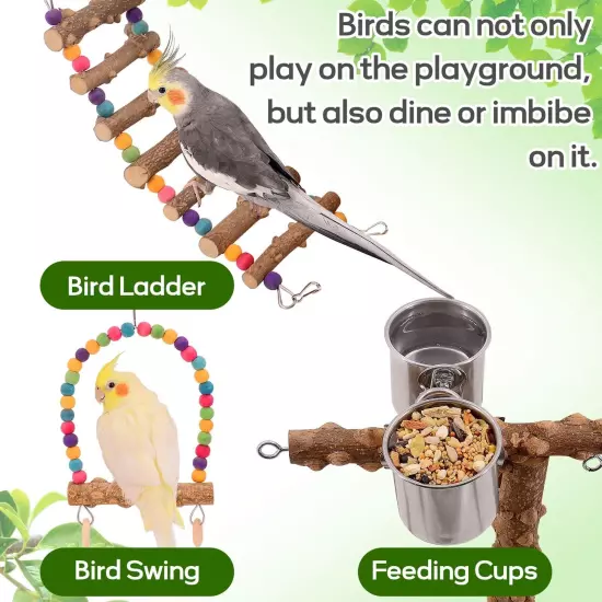 Bird Playground, Bird Perch Play Stand, Bird Conure Parakeets Parrots Cockati...