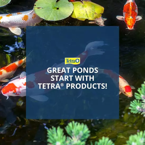 Tetra TetraPond Sticks, Pond Fish Food, for Goldfish and Koi, Premium