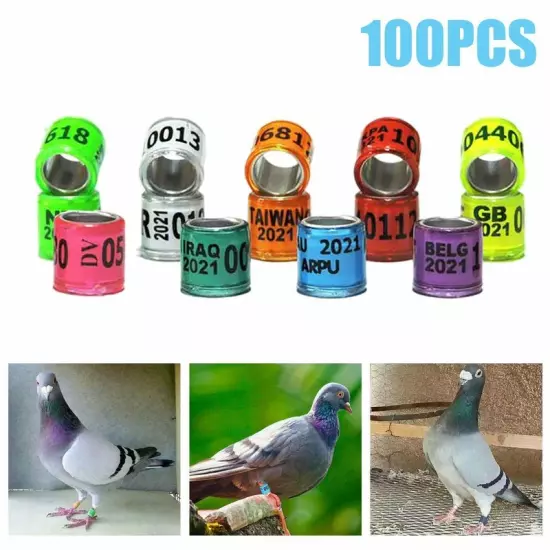 100pcs x 2024 Year Aluminum Bird Racing Pigeon Leg Rings Bands for Poultry US