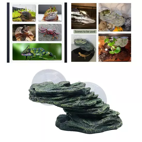 Reptiles Dock Resting Terrace Stone Stone Aquarium Ornament Turtle Basking