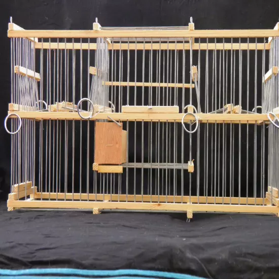 Double Trap Cage for Birds | Gentle & Humane Multi-Action Trap