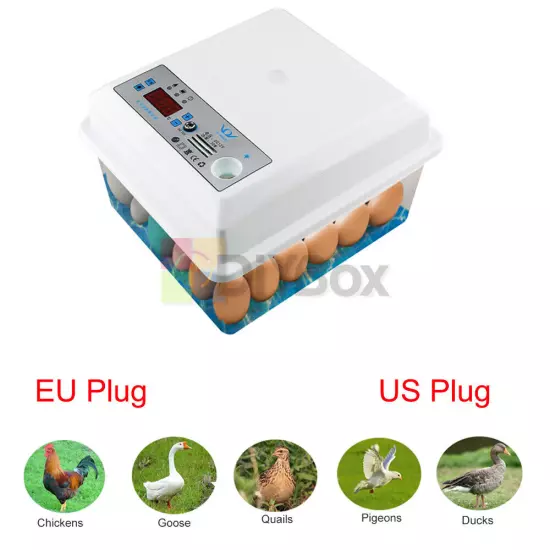 20/50Eggs Incubator Fully Automatic Brooder Chicken Poultry Quail Bird Hatcher