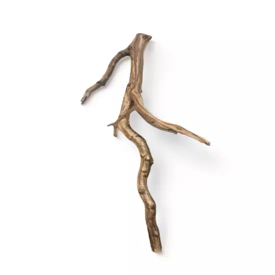 Manzanita Driftwood Branch Set for Aquarium & Reptile, Terrarium Decor