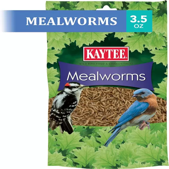 Wild Bird Food Mealworms for Bluebirds, Wrens, Robins, Chickadees, Woodpeckers, 