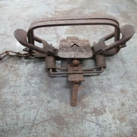 Antique Animal Traps (Lot of 3)