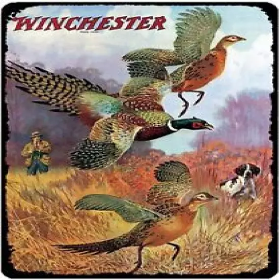 Winchester Hunting Pheasant Outdoors Bird Dogs Metal Sign 8 x 12 Inches