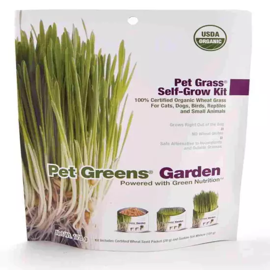 Bell Rock Growers Pet Greens Self-Grow Kit Organic Wheat Grass For all Pets