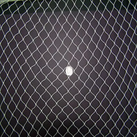 100' x 12' Baby Quail / Blue Berry Net 3/8" #139 Break/Point 35/140 Lbs Per Mesh